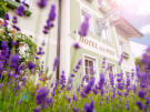 Salzburg: Das Grüne Bio-Hotel zur Post